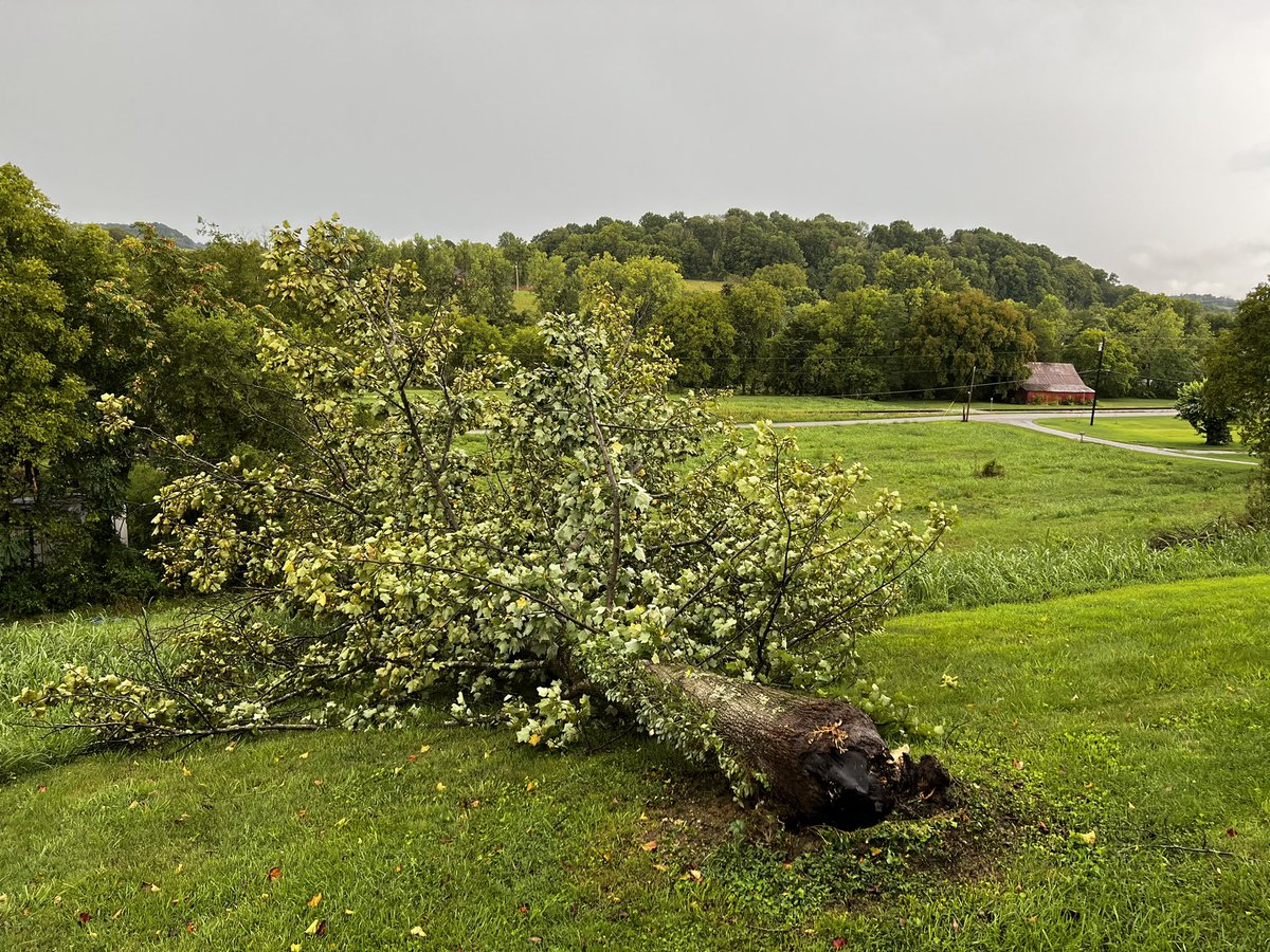 richmond_325's tweet photo. @CumberlandWx tree down in Downtown Hickman #tspotter https://t.co/9IxO2vkFa5