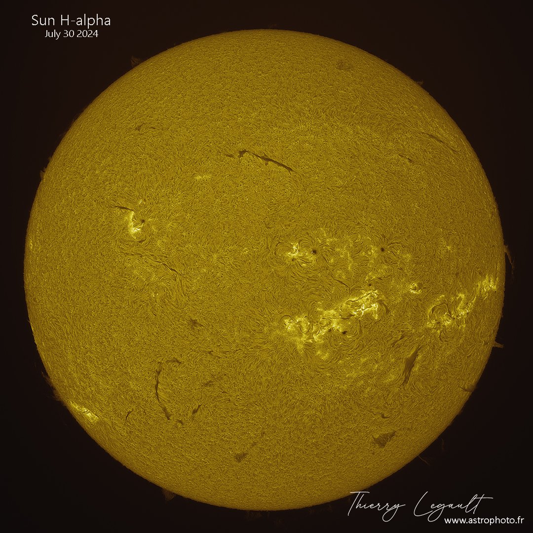 ThierryLegault's tweet image. A lot of sunspots today! 馃槑
The Earth at scale in the corner 馃槷
FSQ-106 refractor on AM-5, ASI183MM, H-alpha and Calcium filters