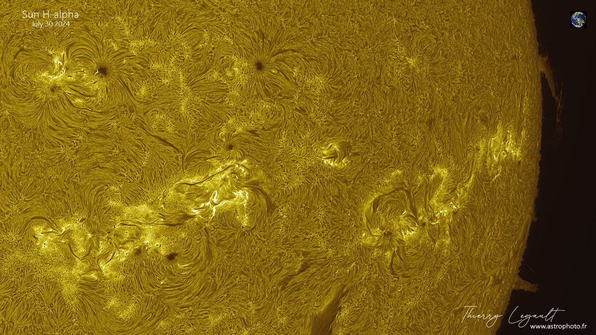 ThierryLegault's tweet image. A lot of sunspots today! 馃槑
The Earth at scale in the corner 馃槷
FSQ-106 refractor on AM-5, ASI183MM, H-alpha and Calcium filters