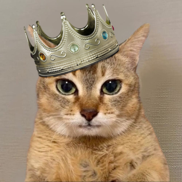 $MILES doing what kings do.

dexscreener.com/solana/3vsyifn…
