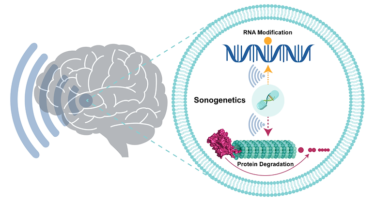 Jerzy Szablowski tweet media