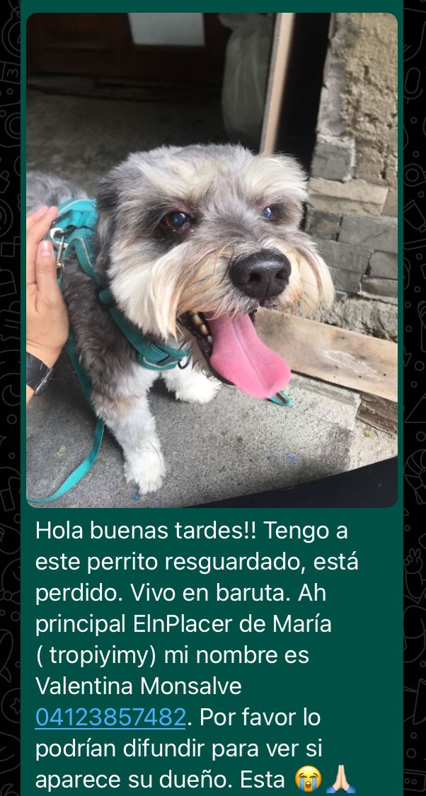 Magdalena Noda (@magdanoda) on Twitter photo 