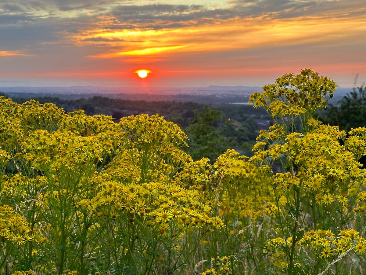 ManelRoura's tweet photo. Back to #Snedshill to enjoy a beautiful #sunset #Telford @StormHour #loveukweather https://t.co/869I6Bt1JN