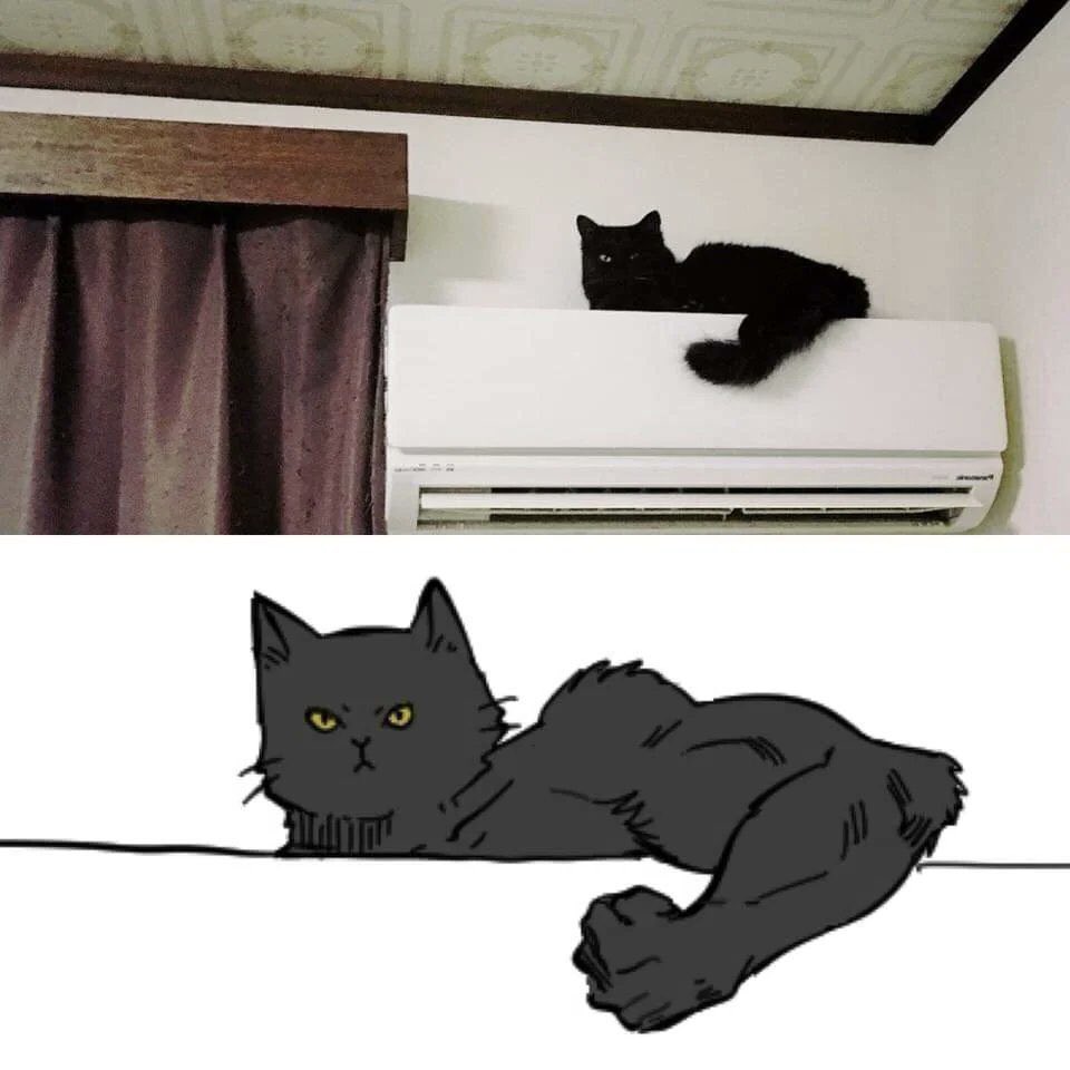 DontShowYourCat's tweet image. 