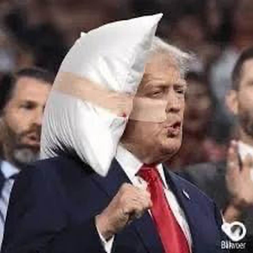 hallam's tweet photo. @gtconway3d @VP Nah, THIS is presidential https://t.co/nOO5LfFSst