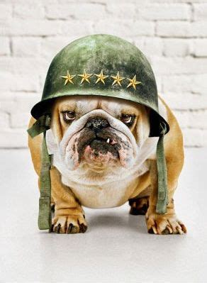 🍄Ƒʉͫcͧкͭιͪηͣ Steelhorse Rider🍄 (@bully2323) on Twitter photo Calling all Soldier Active, Retired, DD-214 Club!
It's time to gather to the front lines of this epic fight!
MAGA will rule our land with God at the helm!
Follow back!
<a href="/codeofvets/">Gretchen Smith</a> <a href="/JessieJaneDuff/">Gunnery Sergeant Jessie Jane Duff</a> @bully2323 <a href="/BamaPatriot64/">Bama Patriot</a> <a href="/Agent_Nutz/">🇺🇸🍄🕵️ Secret Agent SquirrelZ🐿️🍄🇺🇸</a> <a href="/TheFungiCrew/">🍄The Fungi Crew🍄</a> <a href="/ImTheRealGunny/">🇺🇸♟🆃🅷🅴 🅶🆄🅽🅽🆈♟🇺🇸</a> Calling all Soldier Active, Retired, DD-214 Club!
It's time to gather to the front lines of this epic fight!
MAGA will rule our land with God at the helm!
Follow back!
<a href="/codeofvets/">Gretchen Smith</a> <a href="/JessieJaneDuff/">Gunnery Sergeant Jessie Jane Duff</a> @bully2323 <a href="/BamaPatriot64/">Bama Patriot</a> <a href="/Agent_Nutz/">🇺🇸🍄🕵️ Secret Agent SquirrelZ🐿️🍄🇺🇸</a> <a href="/TheFungiCrew/">🍄The Fungi Crew🍄</a> <a href="/ImTheRealGunny/">🇺🇸♟🆃🅷🅴 🅶🆄🅽🅽🆈♟🇺🇸</a>
