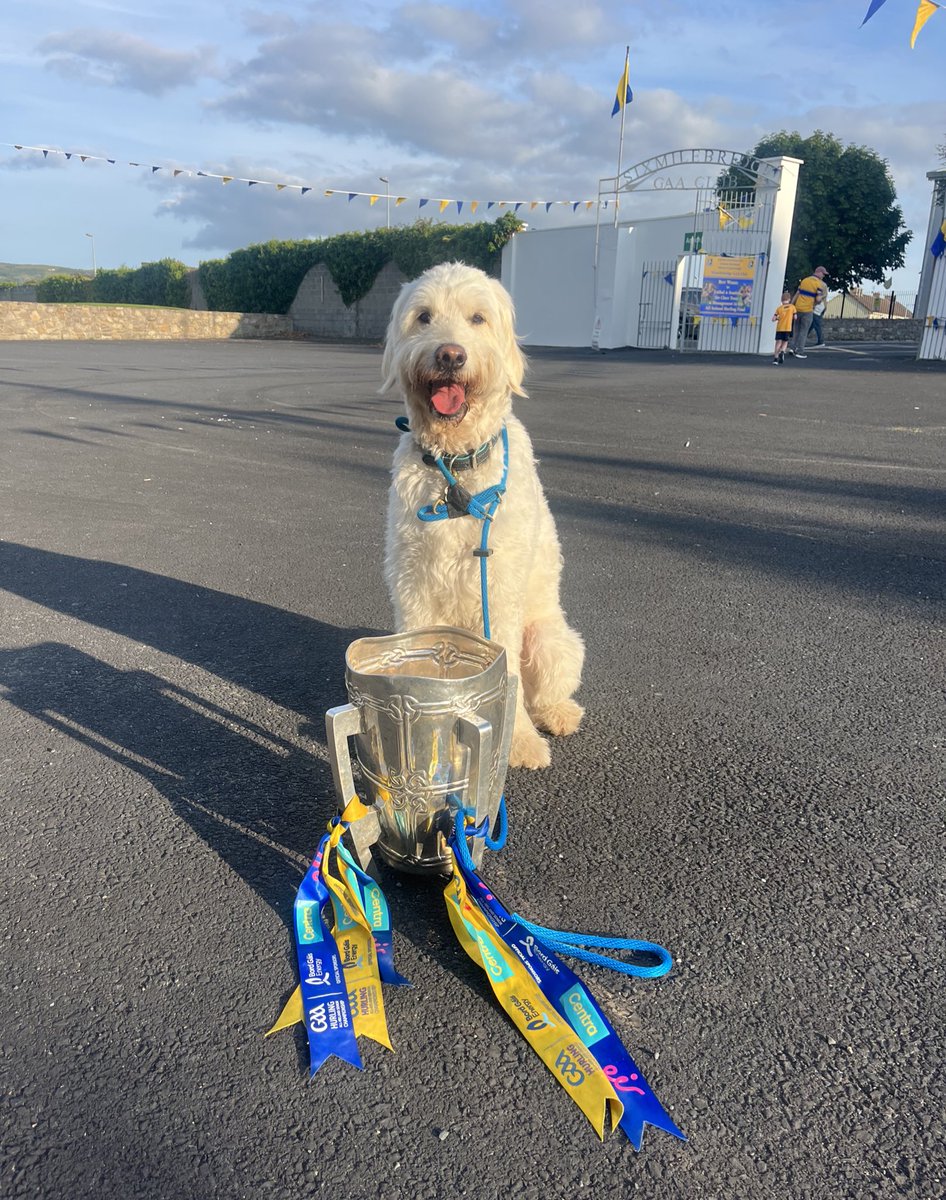When Milo met Liam 🐾🏆

💛💙 <a href="/GaaClare/">Clare Gaa</a> <a href="/ClareFM/">Clare FM</a> <a href="/SMBGAA/">Sixmilebridge GAA</a>
