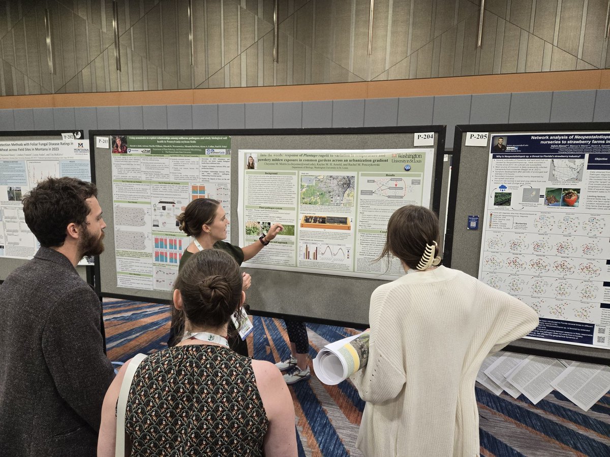 Great poster presentation by <a href="/Cheyanderthal/">Cheyenne Morris</a> on the response of Plantago rugelii to variation in temperature and powdery mildew. P-204.#PlantHealth2024