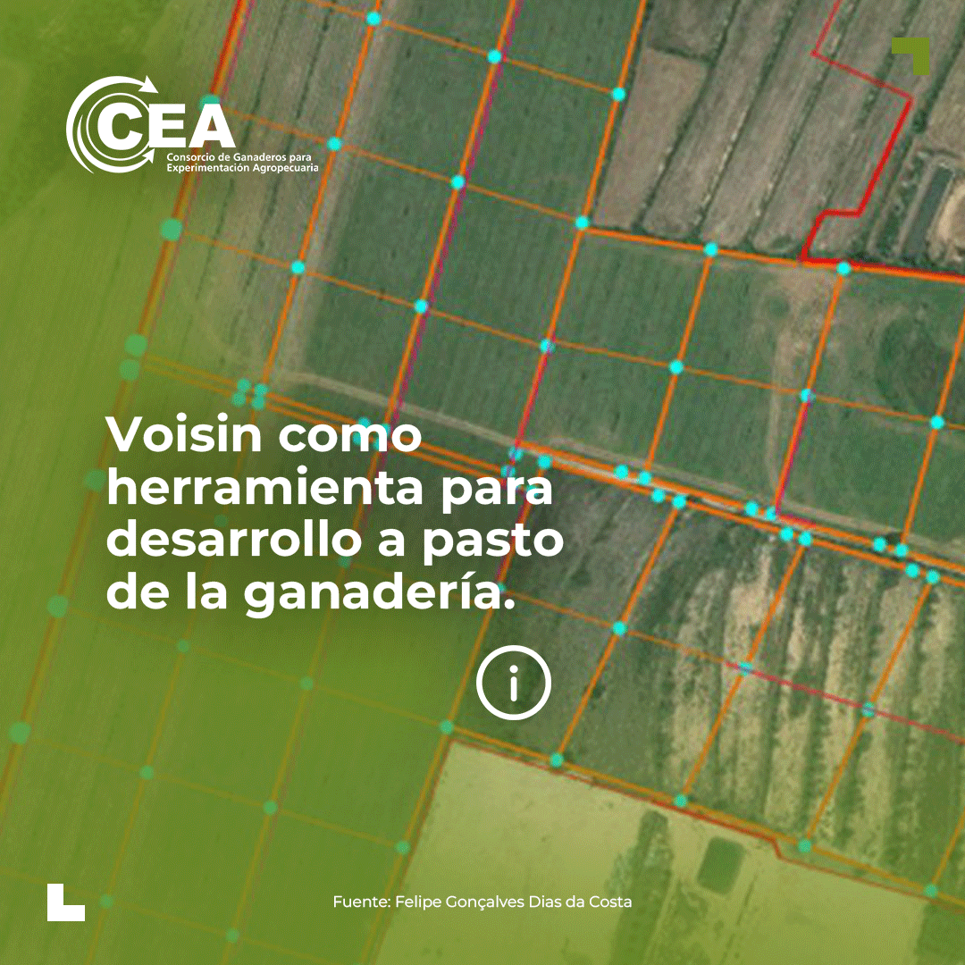 CEA tweet media