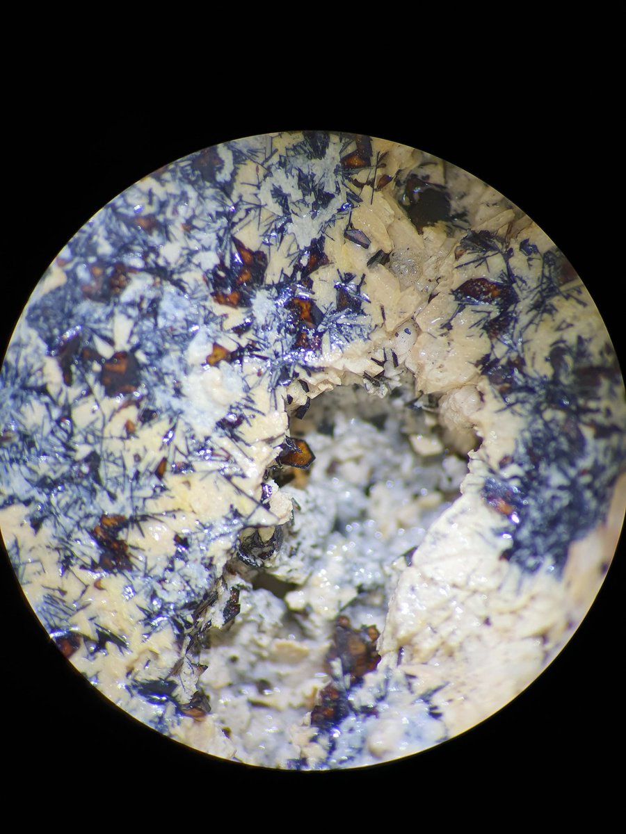 Mirela Dragomir tweet media