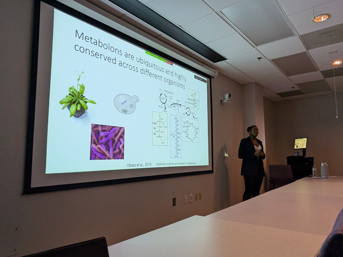 Obata-Lab tweet media