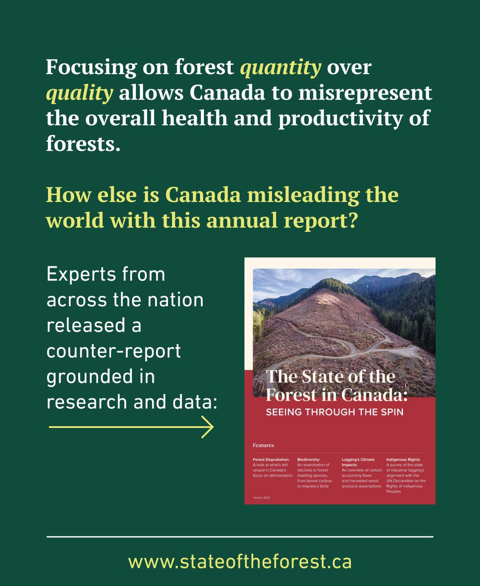 Canada fails to include roads and logging scars in its deforestation tally, enabling it to report near-zero deforestation year after year.🤯Conservationists make the case on the importance of forest quality over quantity: ow.ly/P9P050SBNJy #StateOfTheForest #Biodiversity