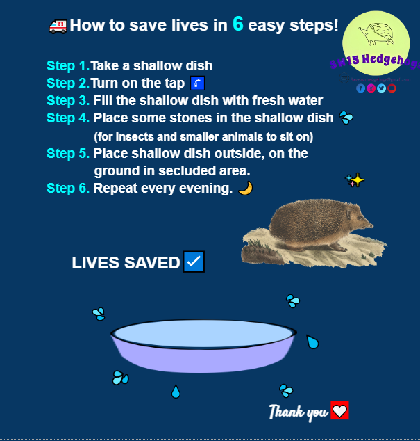 SW15 Hedgehogs tweet media