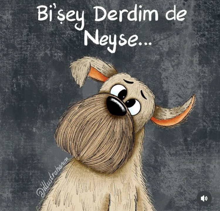 sibelce🪂 (@sibelllcee) on Twitter photo 