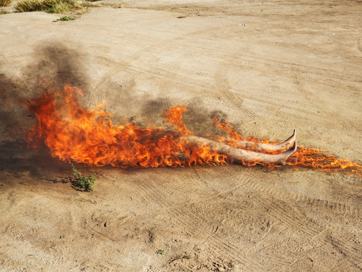 Aliens in Residence tweet media