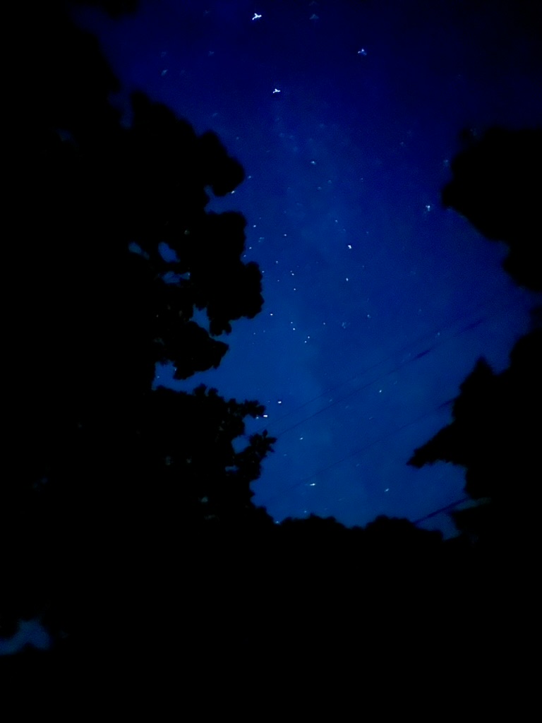 Sebastian Basualto tweet media