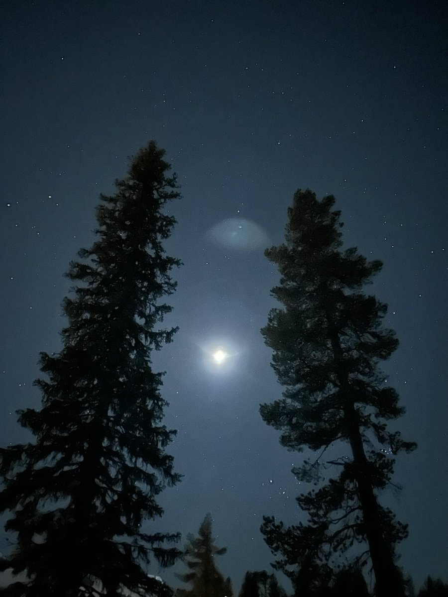 serotoninine tweet media