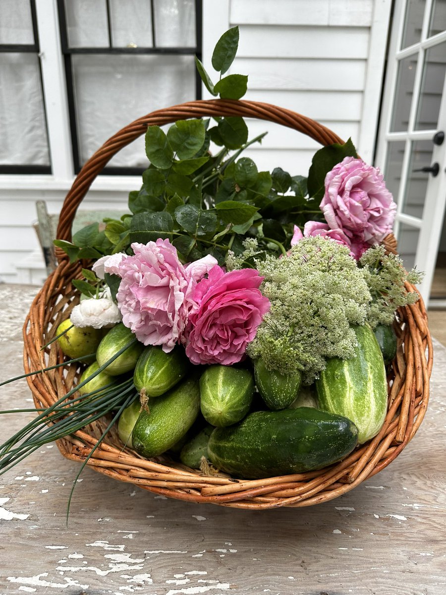 This morning’s findings… 🤍👩‍🌾