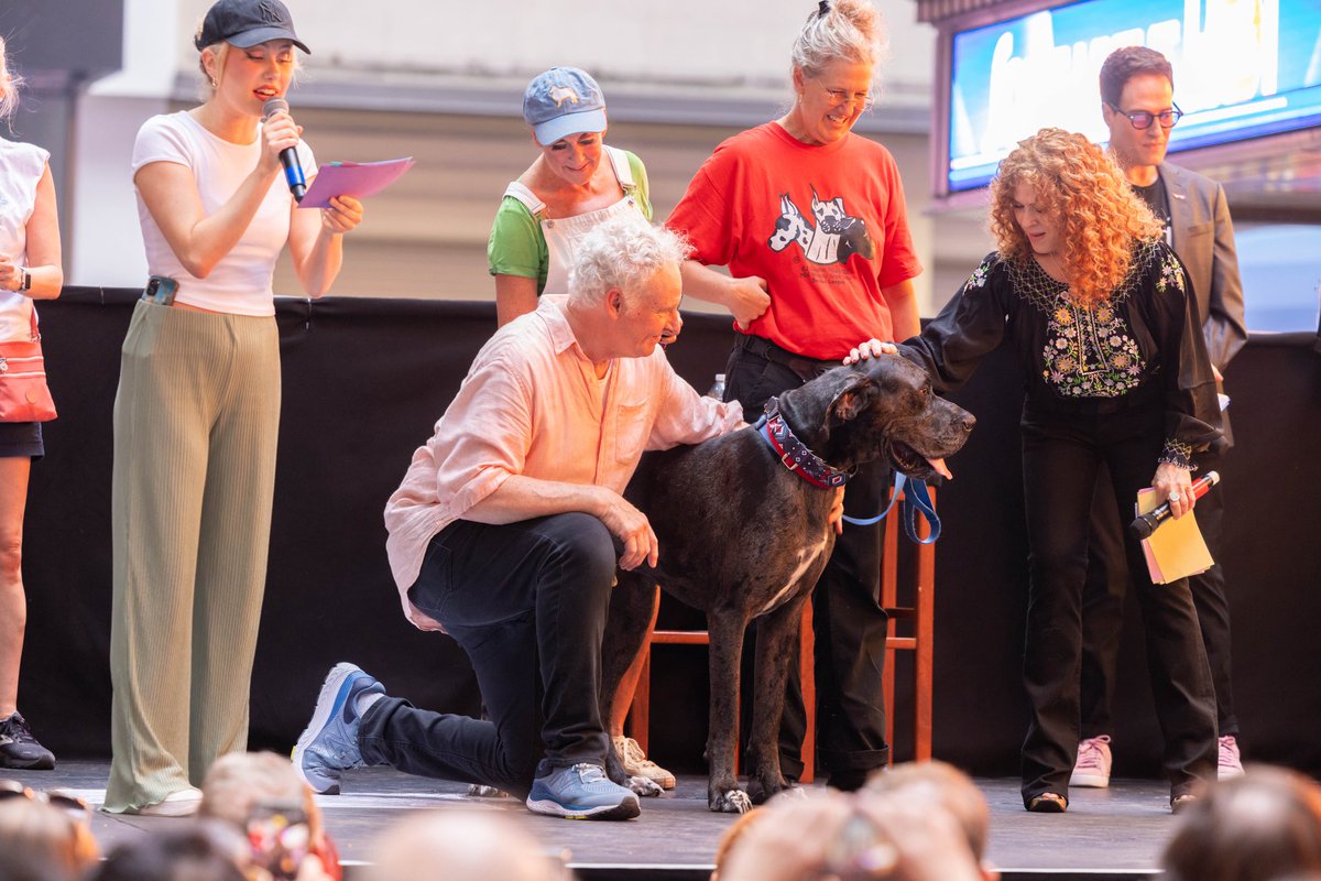 😻Broadway Barks 26 🐶everyone❤️come find the next member of your family💗This Saturday August 3 Shubert Alley come at 3:00 to meet the animals up close then 5:00 for the animals presented on stage in the show. SUTTON FOSTER is Co HOSTING!!!!🙌