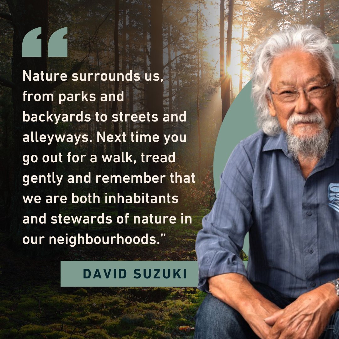 Nature is everywhere, and we’re all part of it. When it flourishes, we thrive — but there are limits to what it can support. Let’s respect, protect and restore nature so it can sustain all life. 🌎‍🤝‍