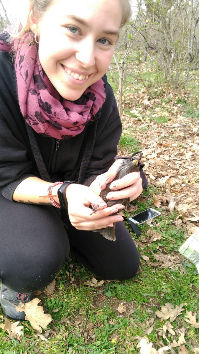 Journal of Experimental Biology (@j_exp_biol) on Twitter photo Paola Millanes & <a href="/blanca_jimeno/">Blanca Jimeno</a> tell us how stress hormones and blood sugar levels in birds are correlated, reflecting the energy required to cope in stressful conditions in their ECRS and that it is always important to have a plan B when doing research
journals.biologists.com/jeb/article/22… Paola Millanes & <a href="/blanca_jimeno/">Blanca Jimeno</a> tell us how stress hormones and blood sugar levels in birds are correlated, reflecting the energy required to cope in stressful conditions in their ECRS and that it is always important to have a plan B when doing research
journals.biologists.com/jeb/article/22…