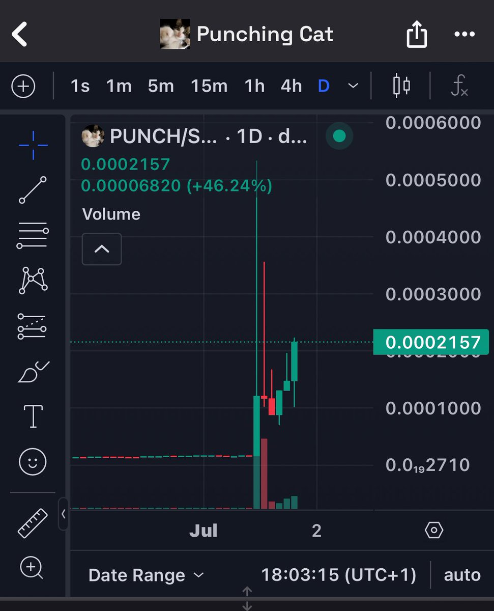 Hmmm Im only interested in the daily chart, the cat that punches wants higher
