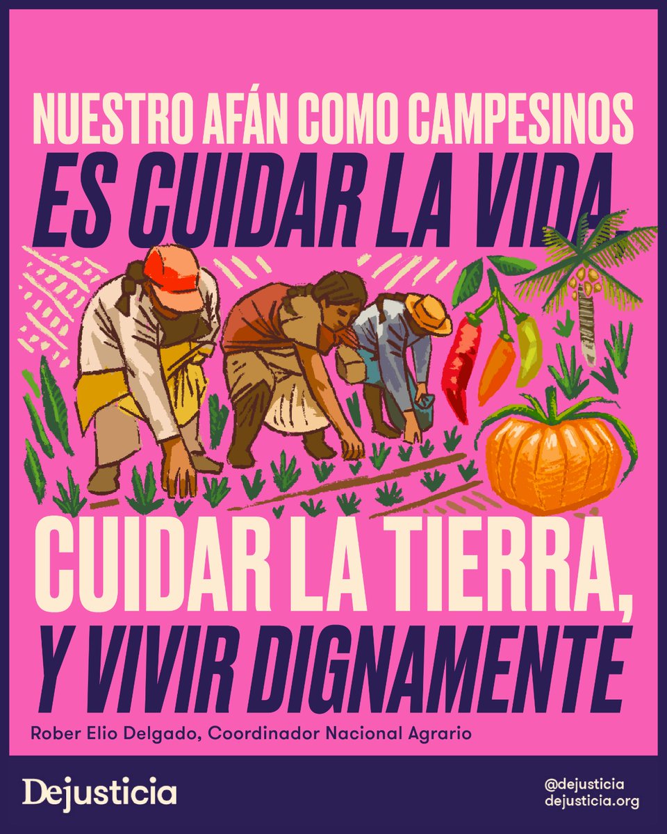 Dejusticia tweet media