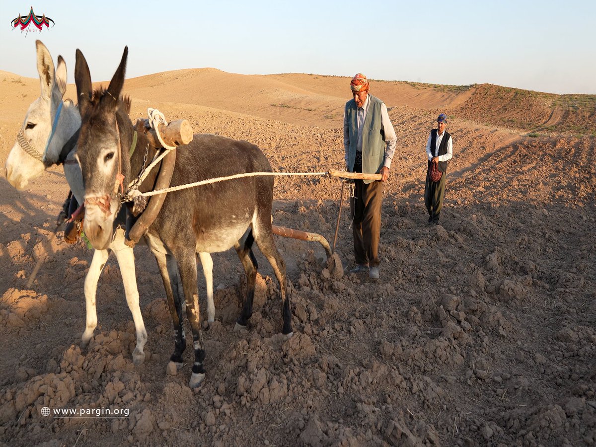 Parginarojava's tweet image. Çandinî

Mezopotamya, Kevana Zêrîn di dîrokê de her tim pêşengtî kiriye û bûye pêşengê pêngavên mezin û nû ⬇
🪩: pargin.org/?p=2183