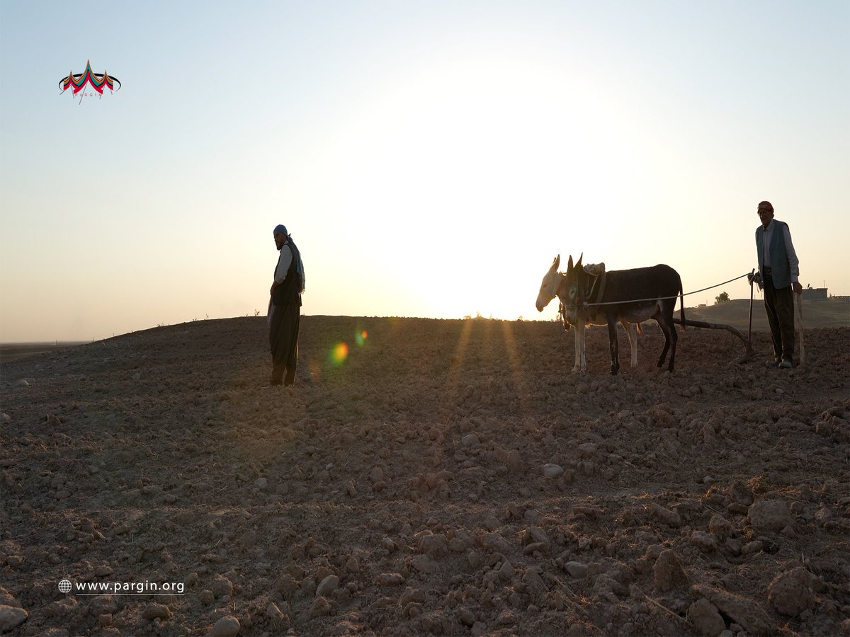 Parginarojava's tweet image. Çandinî

Mezopotamya, Kevana Zêrîn di dîrokê de her tim pêşengtî kiriye û bûye pêşengê pêngavên mezin û nû ⬇
🪩: pargin.org/?p=2183