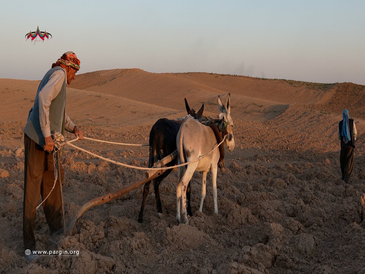 Parginarojava's tweet image. Çandinî

Mezopotamya, Kevana Zêrîn di dîrokê de her tim pêşengtî kiriye û bûye pêşengê pêngavên mezin û nû ⬇
🪩: pargin.org/?p=2183