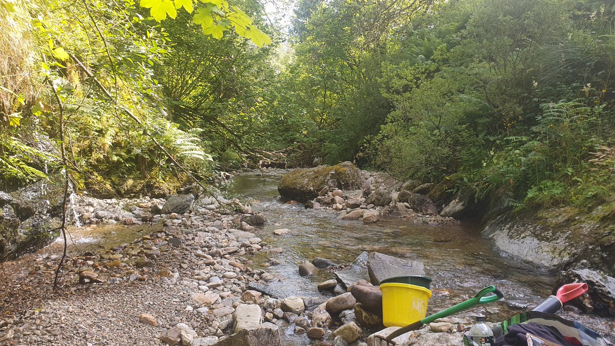 Les Wright tweet media