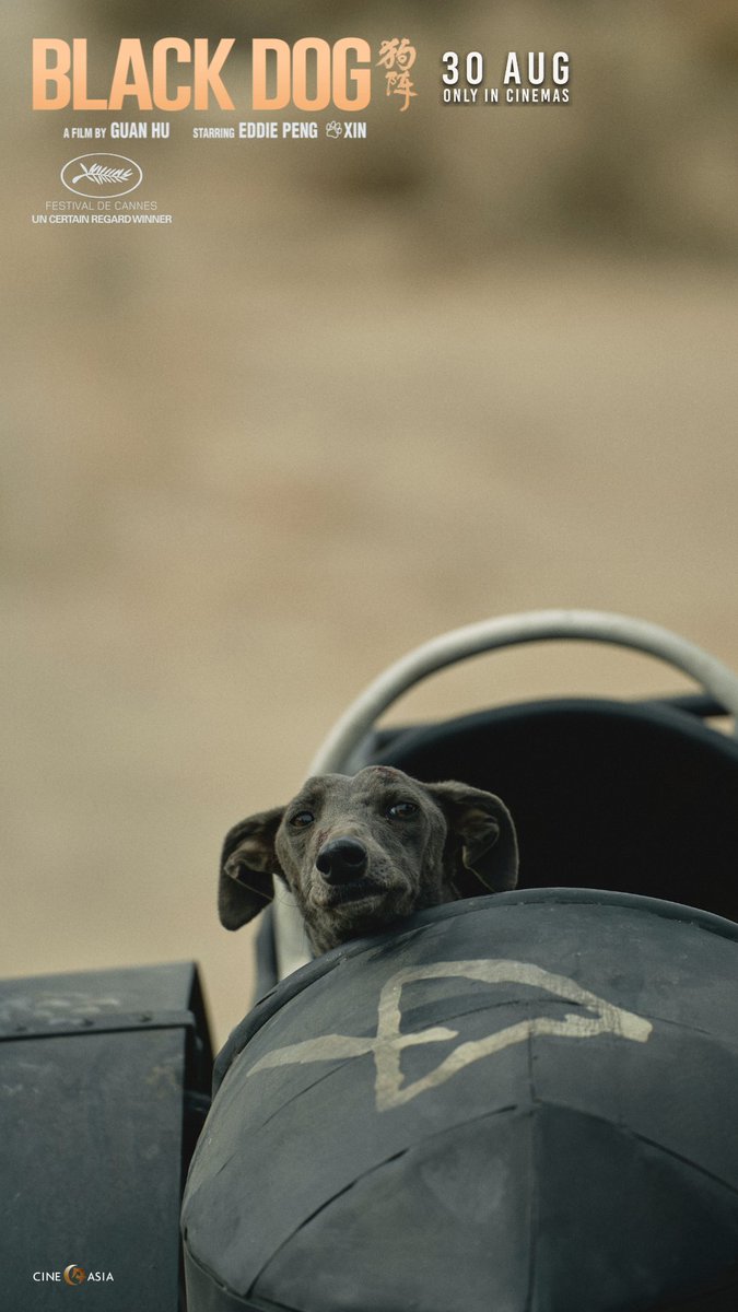 Hidden inside an abandoned residential building, a stray black dog is said to be a rabid menace. Fate, however, takes an unexpected turn when Lang saves him. The lead canine #Xin received the Grand Jury Prize at this year's Palm Dog Awards.  Watch #BLACKDOG on AUG 30 in cinemas.