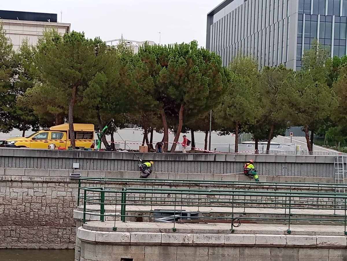 🦆Asociaciones vecinales y ecologistas nos oponemos a los focos que el Ayuntamiento está ya instalando en el cauce del Manzanares y que perjudicarán a la fauna que vive en nuestro río. LEE Y DIFUNDE NUESTRO COMUNICADO CONJUNTO🔽🔽🔽
avmanzanares.org/no-a-los-focos…