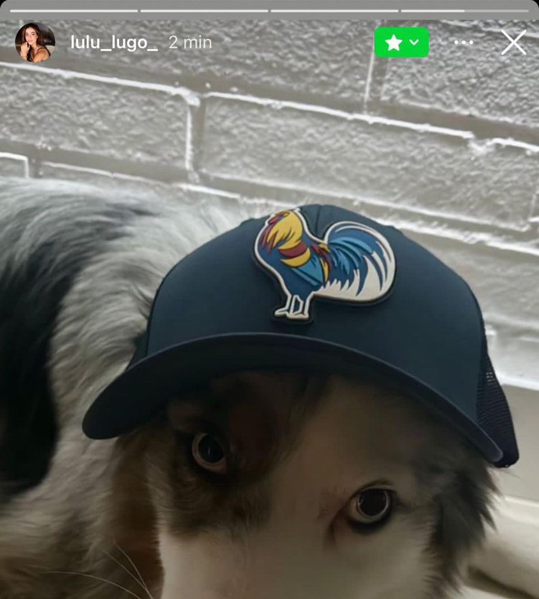 danielavhzm's tweet image. la quemé