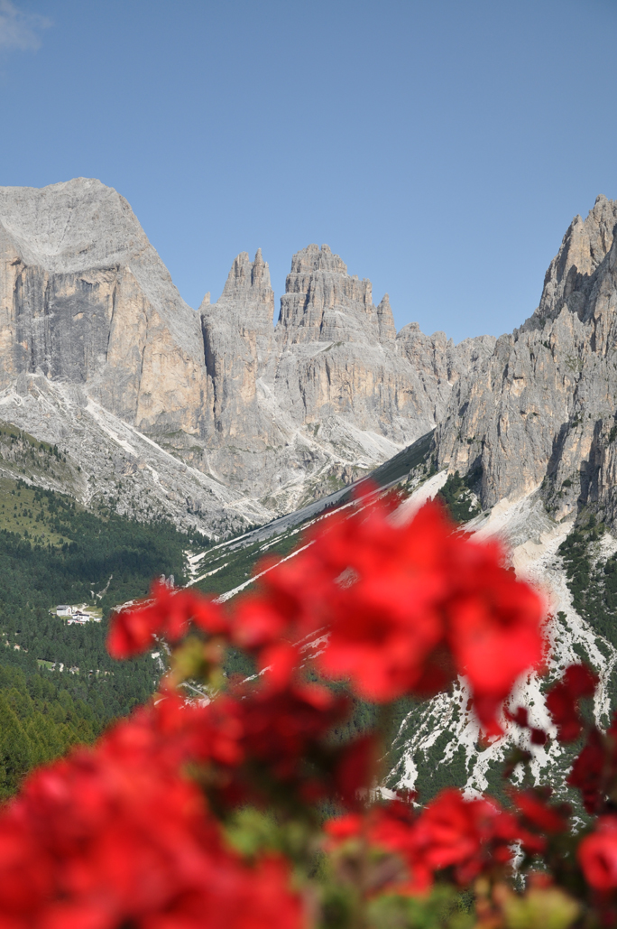 Rotari USA tweet media