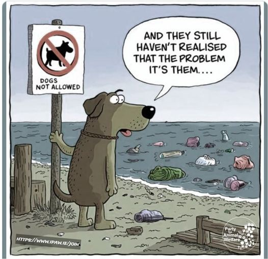 AnimalPartyIE's tweet photo. AND THEY STILL
HAVEN'T REALISED
THAT THE PROBLEM
ITS THEM ....
Clean after yourself, as dogs do for example, but only too few people do.
#leavenotrace #justyourfootsteps
jOIN THE #AnimalRebellion #partyforanimalwelfare
https://t.co/IZH6fjumPD
#Ireland
#StopMicroPlastics https://t.co/ELbcZ0cvub