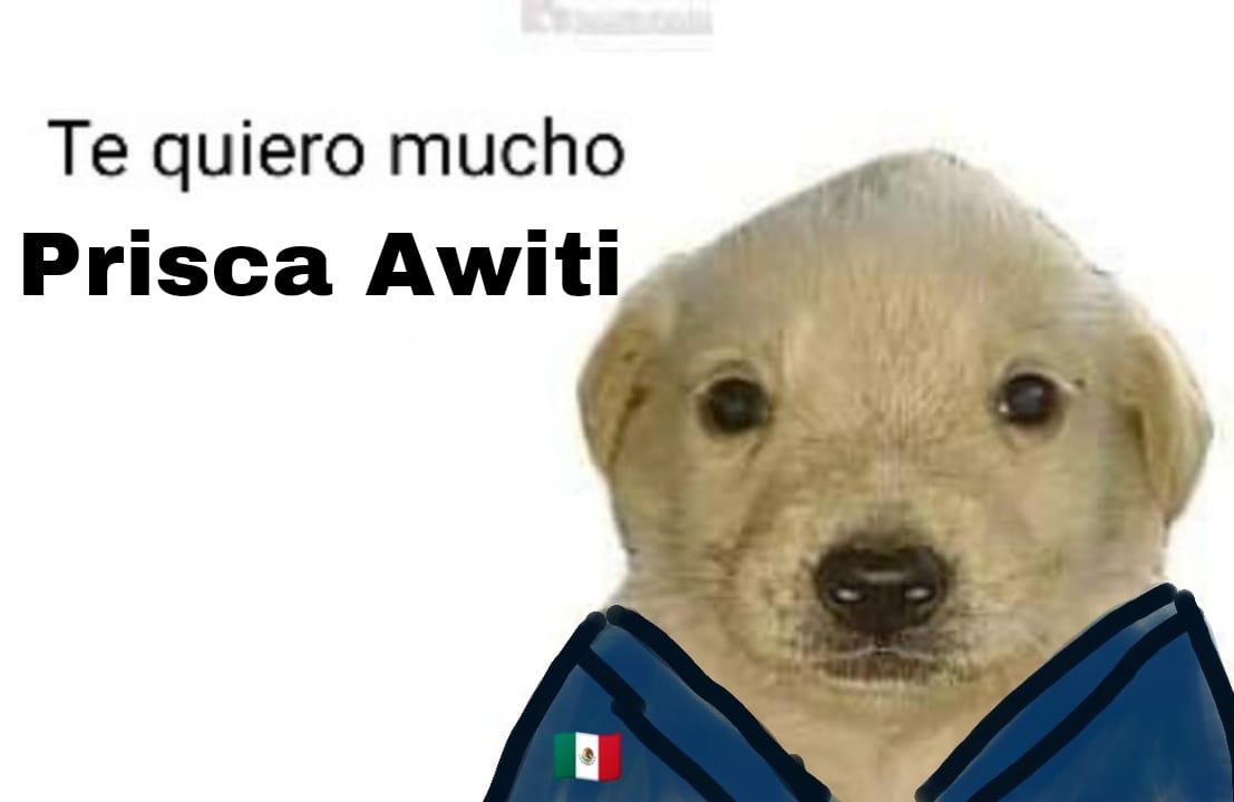 AngelesCampos1's tweet photo. @AwitiAlcaraz Gracias por dejarlo todo, porque no te conformas y porque abrazaste nuestra bandera. Gracias por inspirarnos hermosa 💖 https://t.co/IMMXxXKWml