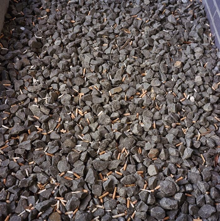 bir fırt ab-ı hayat versene şeyhim
dindirsin faniliğin hararetini.

📜Murat Menteş

📷Peter Marlow