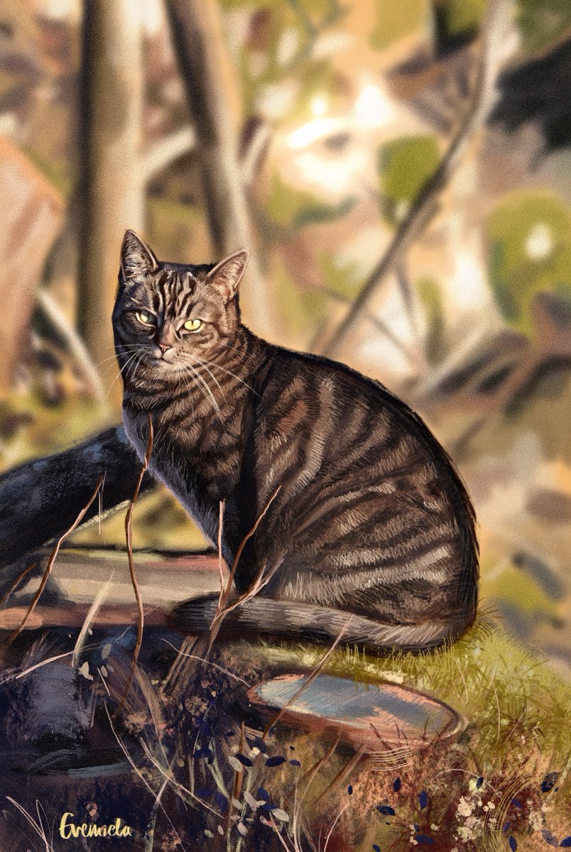 evemiela's tweet image. Digital cat commission &amp;lt;3 Most of my pet commissions are of deceased pets, it hurts my heart while drawing them...but an honour to do so! #cat #Commission