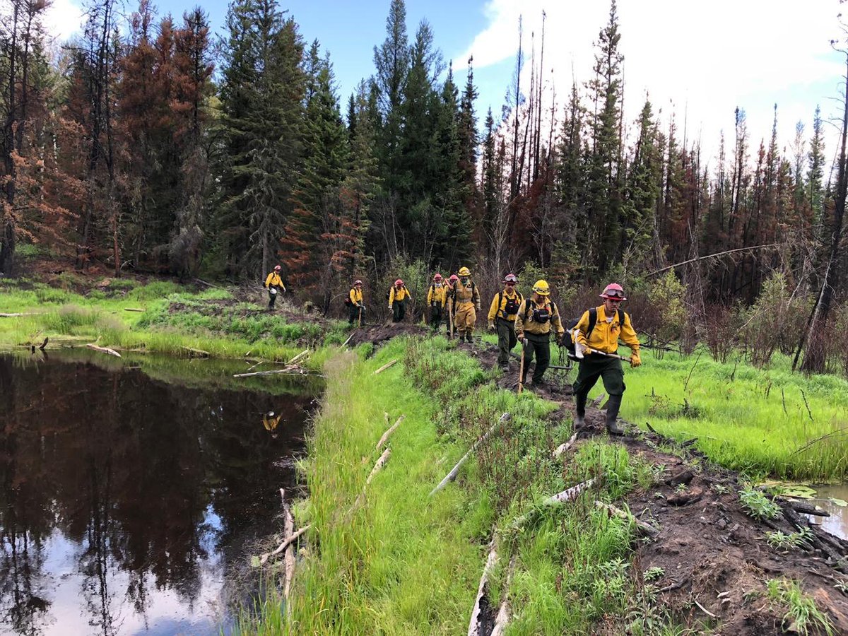 EnriqueAlfaroR's tweet photo. Más de 100 bomberas y bomberos forestales de Jalisco viajaron a Canadá para apoyar durante la temporada más crítica de incendios en Alberta, una gran prueba de que la solidaridad, valentía y compromiso del equipo de @SemadetJal van mucho más allá del límite de nuestras fronteras. 

Por más de dos décadas se ha fortalecido la colaboración entre Jalisco y Canadá, se han firmado varios acuerdos de intercambio de brigadistas y capacitación en materia de manejo del fuego y es justo son circunstancias como esta las que prueban que han valido la pena. 

A cada mujer y hombre que forma parte de este contingente, todo mi reconocimiento. No cabe duda de que son nuestras heroínas y héroes, son ejemplo e inspiración, estamos muy orgullosos de todos ustedes.