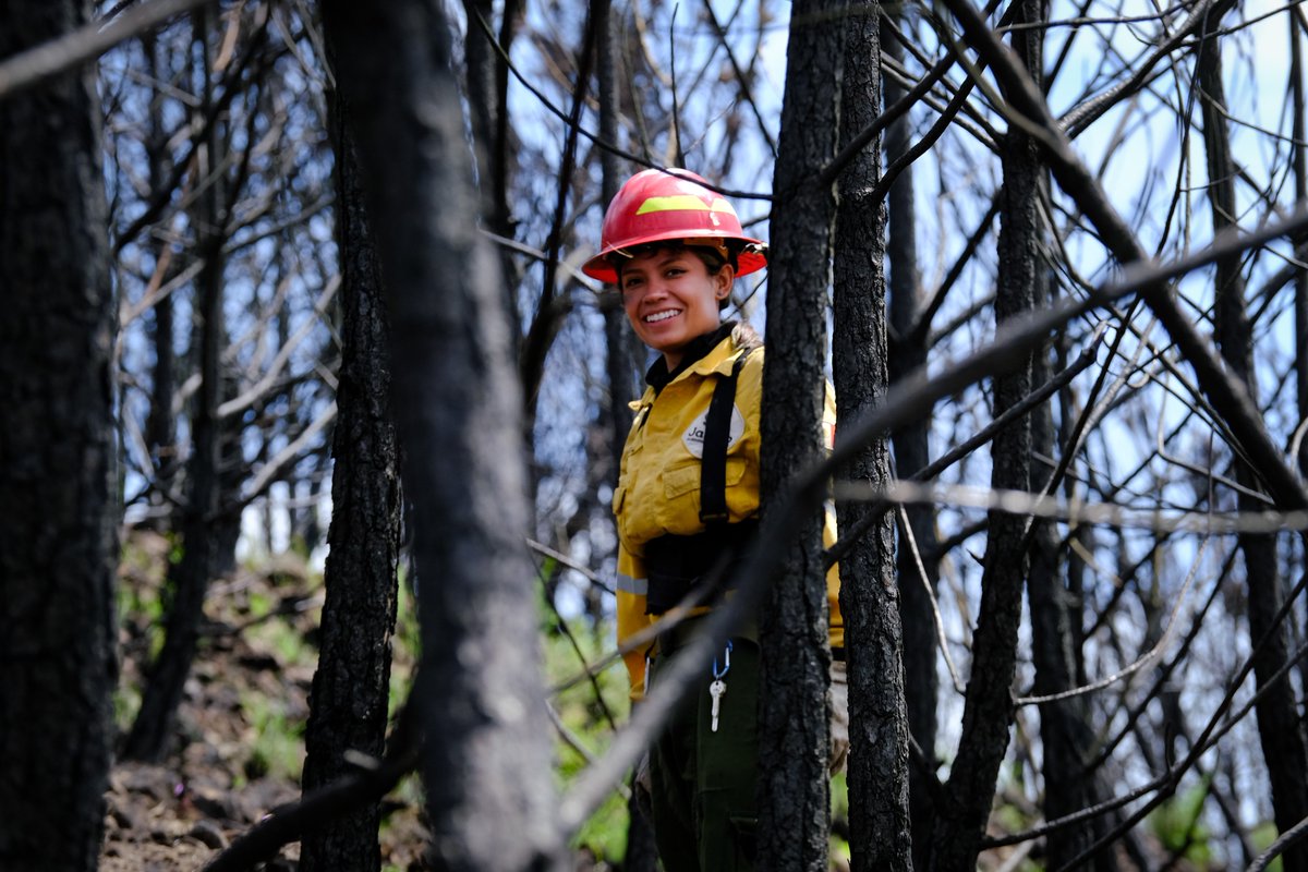 Más de 100 bomberas y bomberos forestales de Jalisco viajaron a Canadá para apoyar durante la temporada más crítica de incendios en Alberta, una gran prueba de que la solidaridad, valentía y compromiso del equipo de <a href="/SemadetJal/">SEMADET Jalisco</a> van mucho más allá del límite de nuestras fronteras.