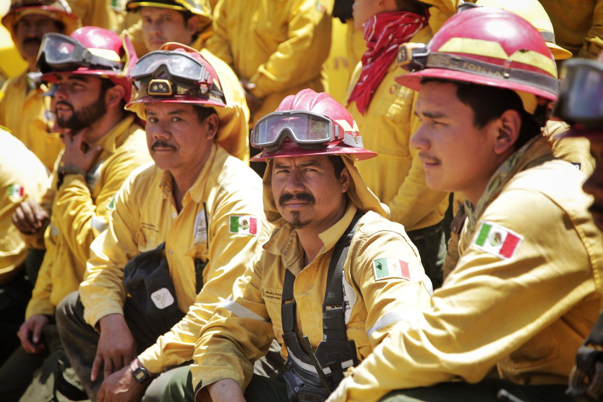 EnriqueAlfaroR's tweet photo. Más de 100 bomberas y bomberos forestales de Jalisco viajaron a Canadá para apoyar durante la temporada más crítica de incendios en Alberta, una gran prueba de que la solidaridad, valentía y compromiso del equipo de @SemadetJal van mucho más allá del límite de nuestras fronteras. 

Por más de dos décadas se ha fortalecido la colaboración entre Jalisco y Canadá, se han firmado varios acuerdos de intercambio de brigadistas y capacitación en materia de manejo del fuego y es justo son circunstancias como esta las que prueban que han valido la pena. 

A cada mujer y hombre que forma parte de este contingente, todo mi reconocimiento. No cabe duda de que son nuestras heroínas y héroes, son ejemplo e inspiración, estamos muy orgullosos de todos ustedes.