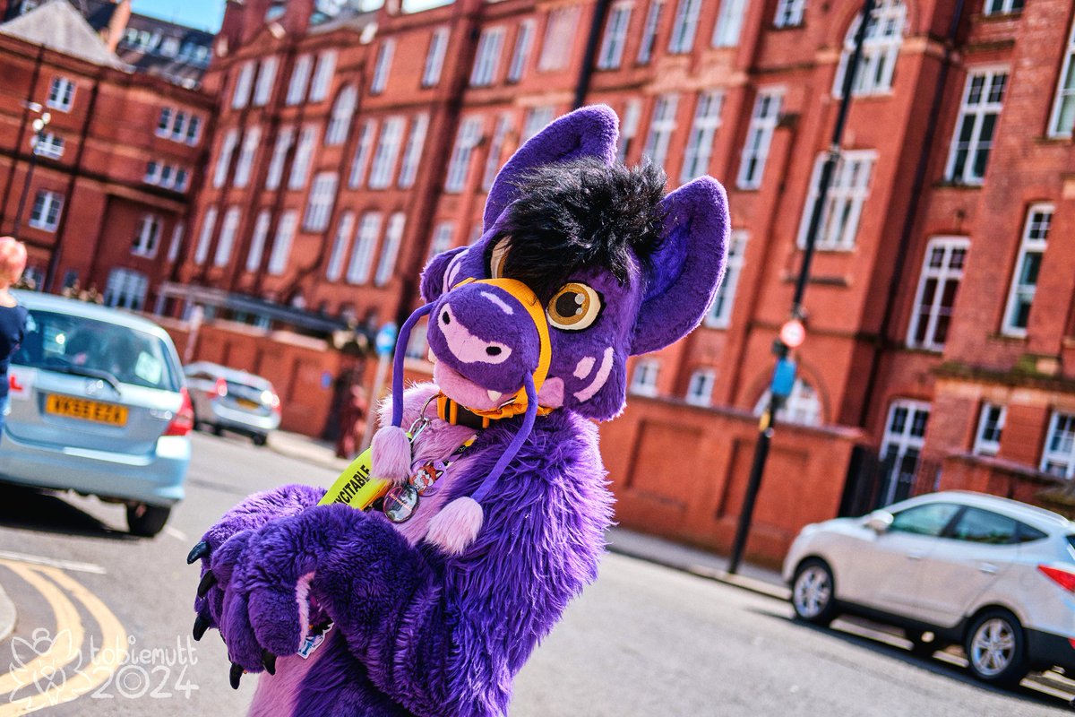 Kypari Noodl 💜 🔜 CFz tweet media