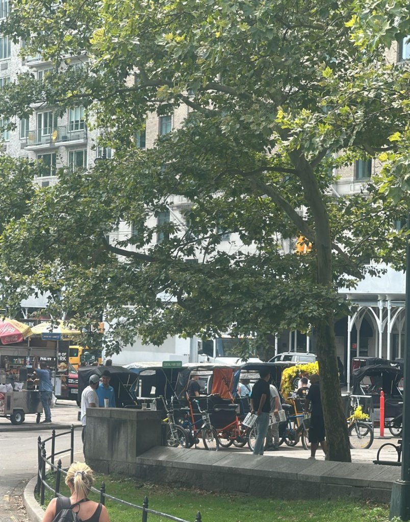 Less than 24 hours from <a href="/NYPDCentralPark/">NYPD Central Park</a> telling #pedicab drivers they can't park in the 6 Ave/59th St <a href="/CentralParkNYC/">Central Park</a> entrance, the same drivers are back with zero respect for the law, so <a href="/NYCCouncil/">New York City Council</a> <a href="/GaleBrewerNYC/">Gale Brewer</a> <a href="/NYCSpeakerAdams/">Adrienne Adams</a> <a href="/ebottcher/">Erik Bottcher</a> must #BanPedicabs from #CentralPark