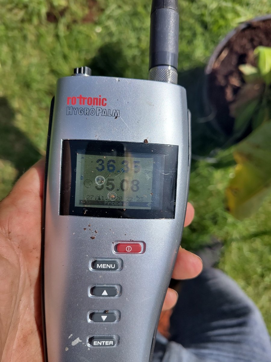 Philipp Schuler tweet media