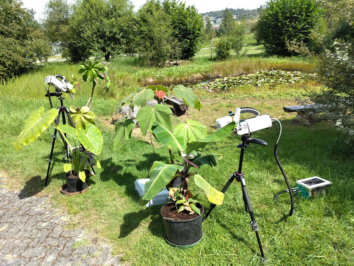 Philipp Schuler tweet media