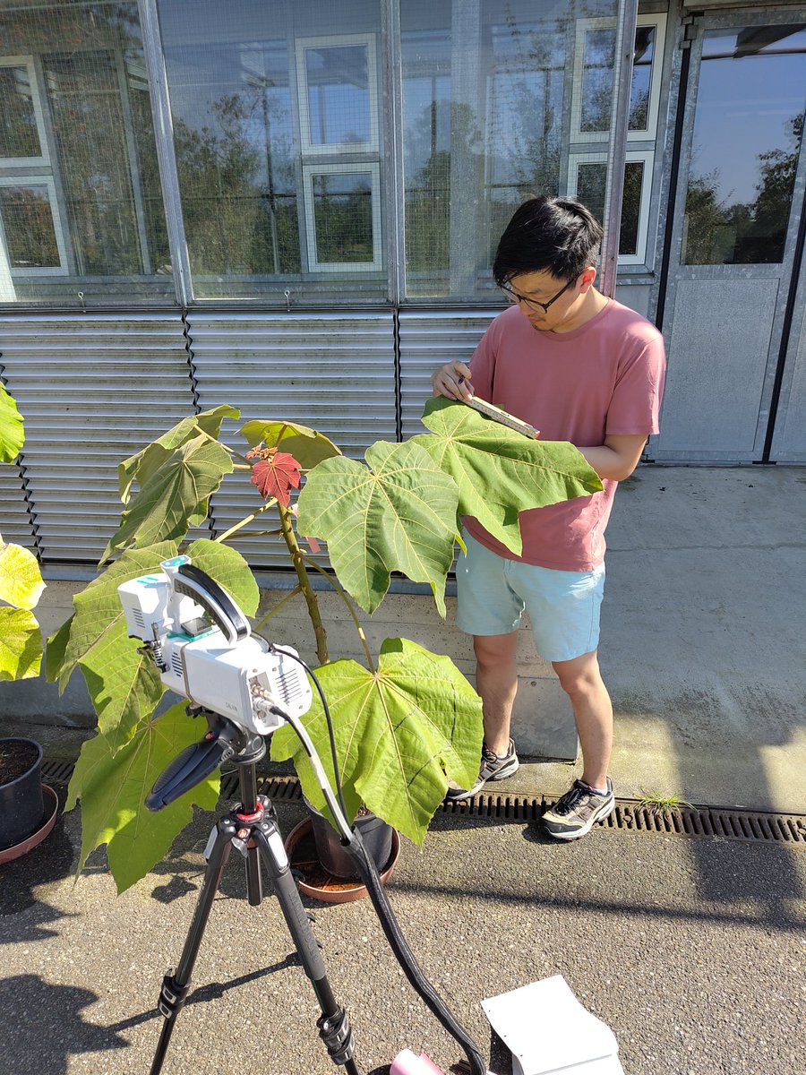 Philipp Schuler tweet media