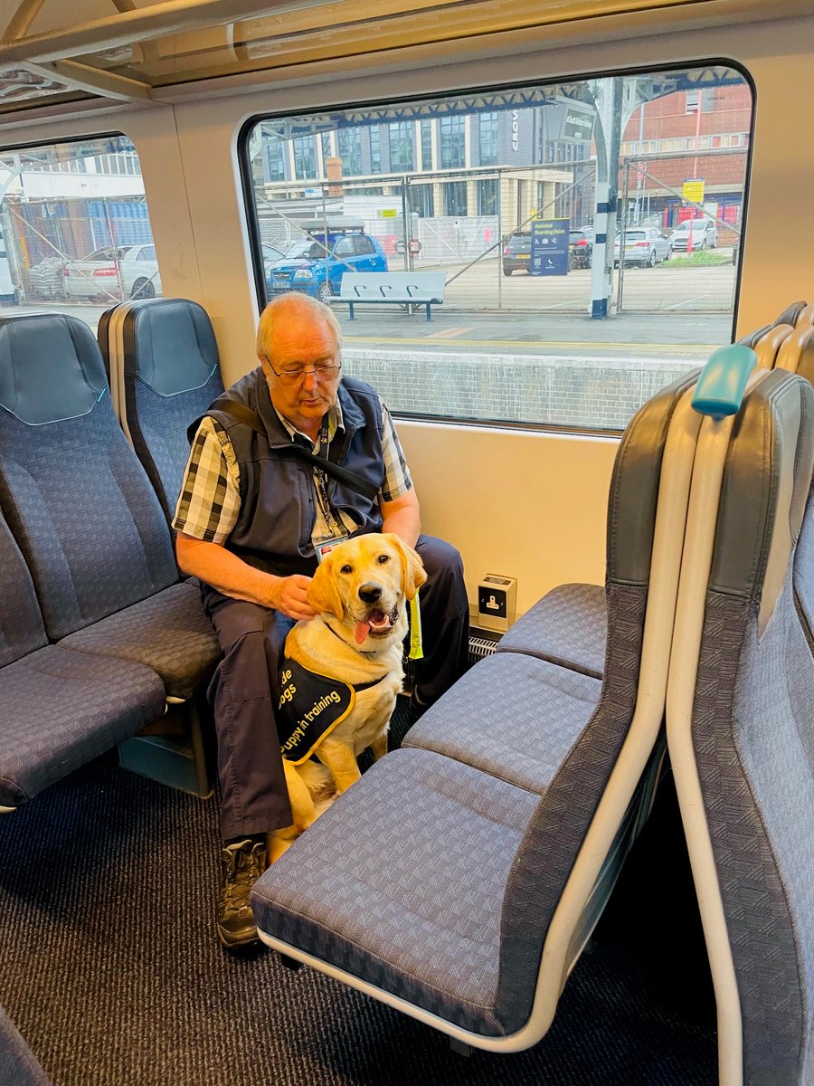 GuideDogsSW's tweet image. 4 pups took part in a puppy class at Portsmouth and Southsea station 🚂
Run with the support of @SW_Help, the star pupils experienced platforms, ticket offices, stairs, lifts, and getting on and off a train – all great preparation for becoming a life-changer when they’re older.