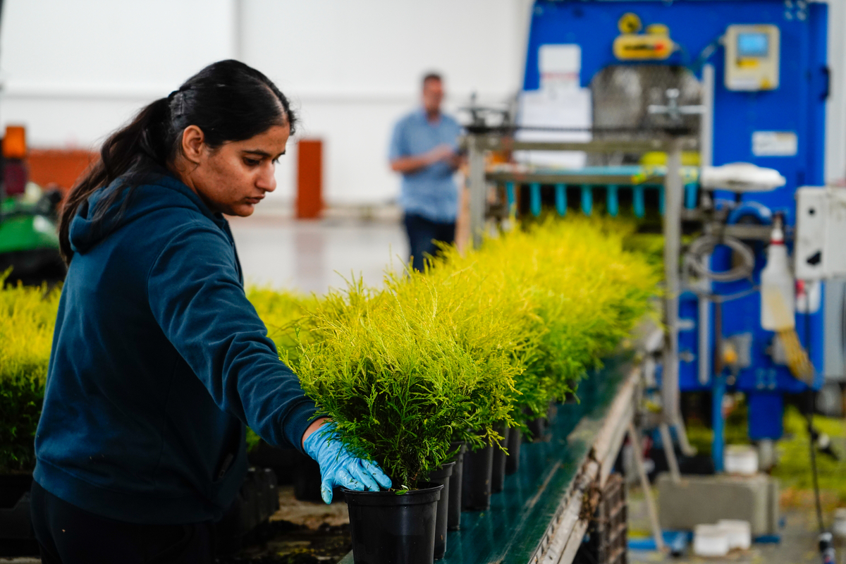 Qualitree tweet media