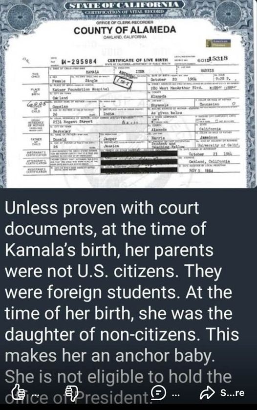 FlamingLiberal_'s tweet photo. From among the dark phony witches of [Eastwick-made up) San Francisco, GO HARRIS may not be eligible for any office. She may be an anchor baby! 🇺🇸 👍 🤠 😱 #california #pelosi #TRUMP #TRUMP2024 #TRUMPSTER #DEPLORABLE #MAGA #PROTRUMP https://t.co/Pa6yoWPjYX